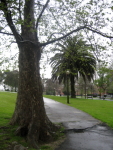 Buscame mas abajo