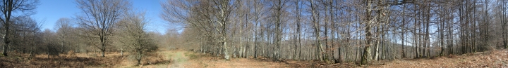 Ir a panoramica